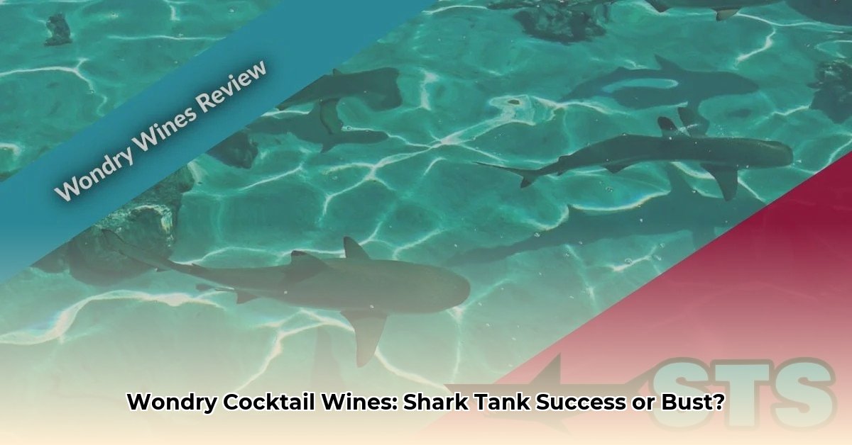 wondry cocktail wines net worth